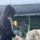 선민농장 이미지