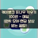 케이뱅크 돈나무 키우기 100원 - 매일 1원씩 모아 현금 보상 받는 꿀팁!