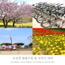 오산천 자전거대여소 | 수원,용인,안성,평택 근교 벚꽃 명소 &#39;오산천&#39; 주차장, 무료 자전거 대여 안내 및 후기