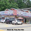 소문난식당 이미지