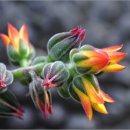 향기있는풍경 이미지