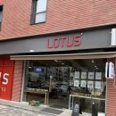 복정로 | 성남 서울 복정카페 소금빵 베이커리 커피 맛집 [로투스베이커리]후기