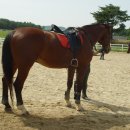 한국경마축산고등학교 이미지