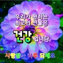 장수헬스클럽 Daum카페