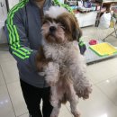 민병철동물병원 이미지