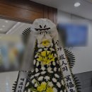 봉황장례문화원 이미지