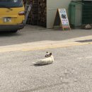 기성반점 이미지