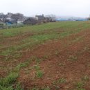 미르채공인중개사사무소 이미지