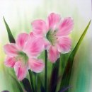 이지플라워 이미지