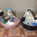 제빵왕 이미지