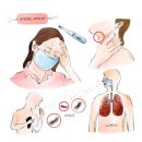 달팽이신경과 이미지