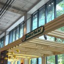 인형방콕 | 방콕여행ㅣ엠스피어 버터베어 쇼핑리스트 가격 키링 인형 굿즈 추천 후기