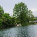 치명자산대여소 이미지