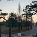 예산커피 이미지