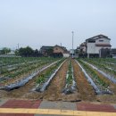 대지부동산중개인사무소 이미지