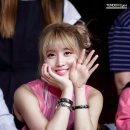 모모E 이미지