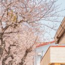 서호중로.호근중로 이미지