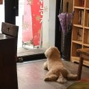 커피비상구 - 마포구 도화2안길 5 | 커피비상구