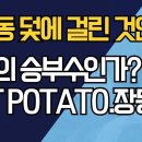 조중동 덫에 걸린 것인가?/회심의 승부수인가?/HOT POTATO 장동혁!! ﻿강신업TV 이미지