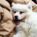 BODY119(바디119) 이미지