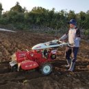 로타리 민박 이미지