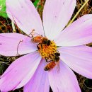 경천 농장 이미지