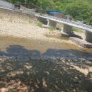 거락마을회관옆 이미지