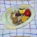 이뮤노팜 | 강아지 면역력 영양제 이뮤노벳 급여후기