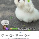 다들 모여봐