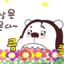 노닥노닥 이미지