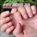 코호네일
