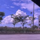 신통치킨(용산점) | 250721-250727 위고비? 위에 고비올 때까지 먹는 일상