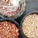 삼동농장 이미지