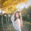 지우태양광 이미지