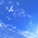 푸른하늘 이미지