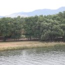 풍년목장 이미지