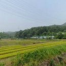 실속만점공인중개사사무소 이미지