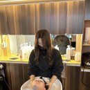 제이하우즈