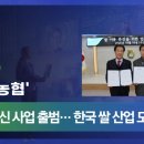 우리쌀