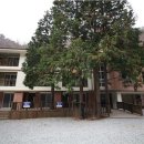 자연.이미지 이미지