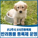 빛가람동물병원 이미지