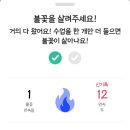 꽃즐겨찾기