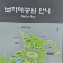보라매슈즈 이미지