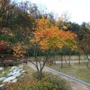 광덕산근린공원 이미지