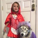 내가 누구개? 이미지