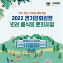 수요 문화 체험 더팩트