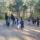 동내초병설유치원 이미지