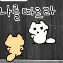 썬셋 오션 이미지