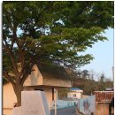 옹진군덕적면소야보건진료소 이미지