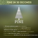 파인(Pine)